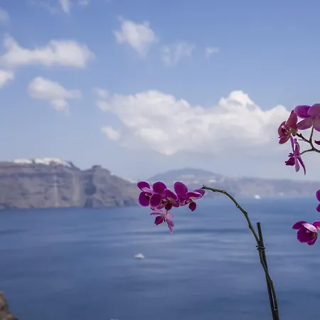 Ambition (adults Only) Otel Oia