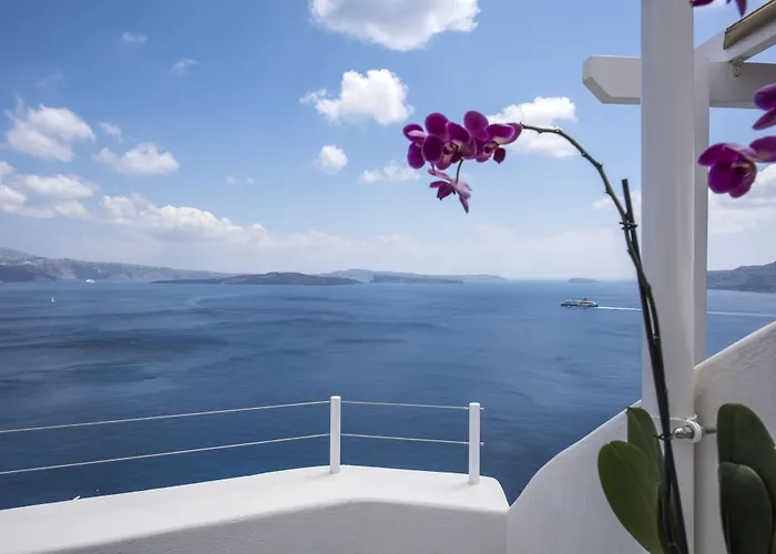 Ambition (adults Only)